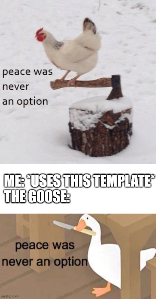 ME: *USES THIS TEMPLATE*
THE GOOSE: | image tagged in peace was never an option chicken,untitled goose peace was never an option | made w/ Imgflip meme maker