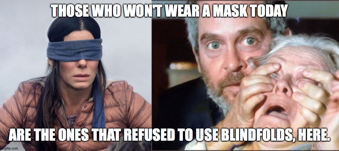 Covid-Birdbox 2 | THOSE WHO WON'T WEAR A MASK TODAY; ARE THE ONES THAT REFUSED TO USE BLINDFOLDS, HERE. | image tagged in covid19 | made w/ Imgflip meme maker