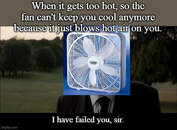 I have failed you | When it gets too hot, so the fan can't keep you cool anymore because it just blows hot air on you. I have failed you, sir. | image tagged in i have failed you | made w/ Imgflip meme maker
