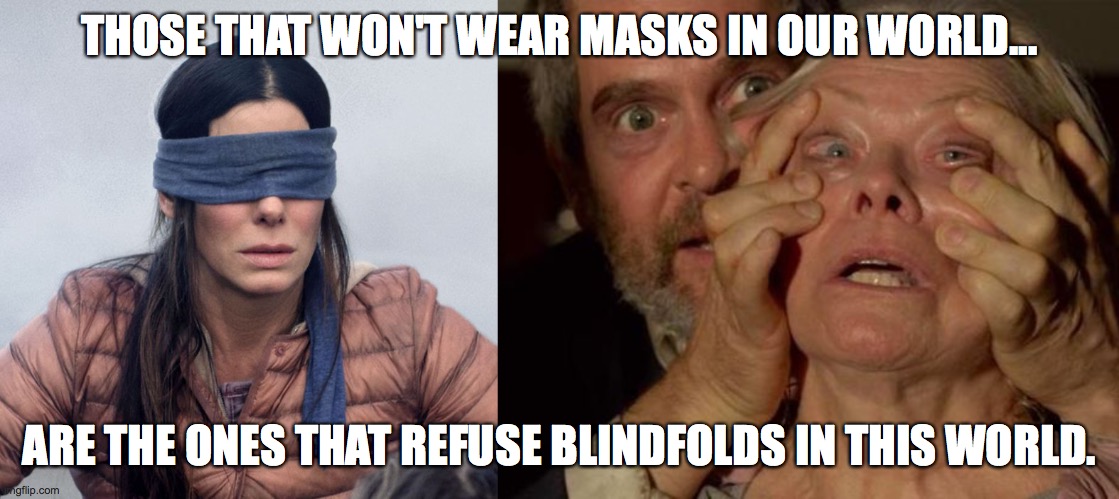 CovidBox 3 | THOSE THAT WON'T WEAR MASKS IN OUR WORLD... ARE THE ONES THAT REFUSE BLINDFOLDS IN THIS WORLD. | image tagged in covid19,covid-19,covid 19,mask,face mask | made w/ Imgflip meme maker