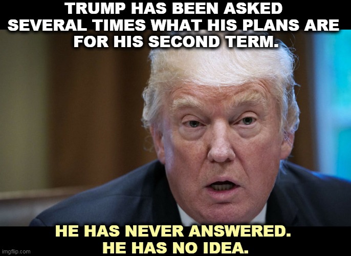 Trump, no thoughts, no ideas, just self-aggrandizement. | TRUMP HAS BEEN ASKED 
SEVERAL TIMES WHAT HIS PLANS ARE 
FOR HIS SECOND TERM. HE HAS NEVER ANSWERED. 
HE HAS NO IDEA. | image tagged in trump,empty,ego,incompetence,fool | made w/ Imgflip meme maker