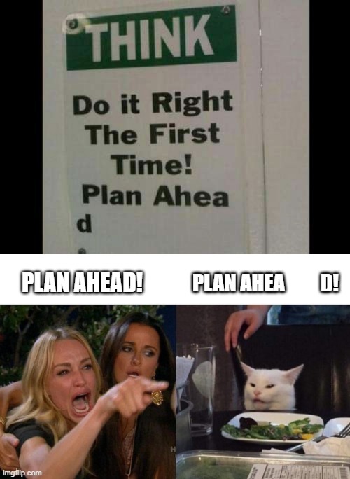 Plan What? | PLAN AHEA         D! PLAN AHEAD! | image tagged in memes,woman yelling at cat | made w/ Imgflip meme maker