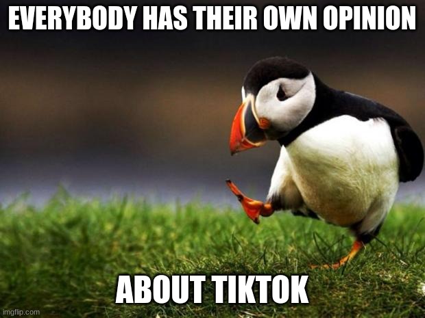 Unpopular Opinion Puffin Meme | EVERYBODY HAS THEIR OWN OPINION; ABOUT TIKTOK | image tagged in memes,unpopular opinion puffin | made w/ Imgflip meme maker