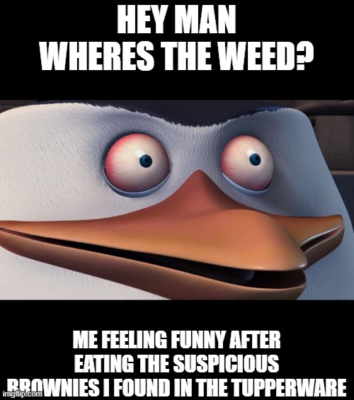 Shook Skipper | HEY MAN WHERES THE WEED? ME FEELING FUNNY AFTER EATING THE SUSPICIOUS BROWNIES I FOUND IN THE TUPPERWARE | image tagged in shook skipper | made w/ Imgflip meme maker