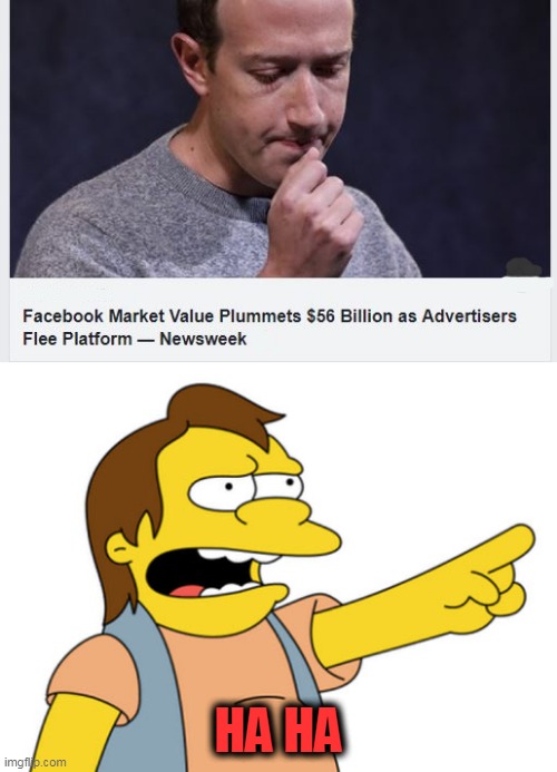 he personally lost 7B, but he is still filthy stinking rich |  HA HA | image tagged in nelson muntz haha,politics,facebook,loss | made w/ Imgflip meme maker
