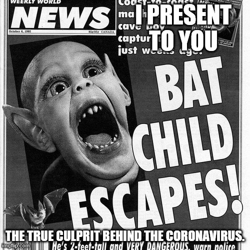 Batboy | I PRESENT TO YOU; THE TRUE CULPRIT BEHIND THE CORONAVIRUS. | image tagged in batboy | made w/ Imgflip meme maker