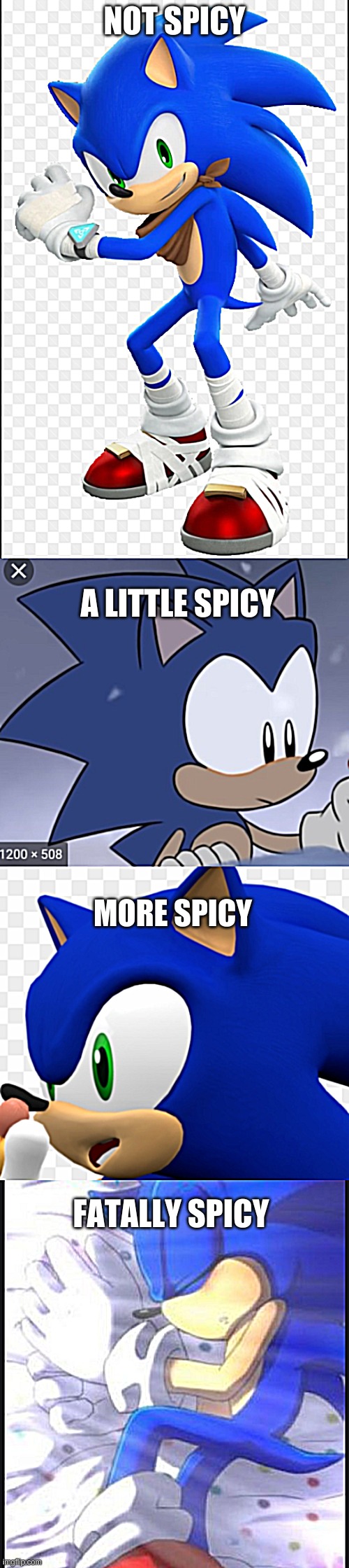 NOT SPICY; A LITTLE SPICY; MORE SPICY; FATALLY SPICY | made w/ Imgflip meme maker