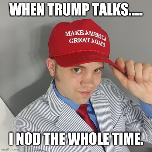 Docile trump supporter | WHEN TRUMP TALKS..... I NOD THE WHOLE TIME. | image tagged in trump supporter,blm,conservatives,liberals,donald trump | made w/ Imgflip meme maker