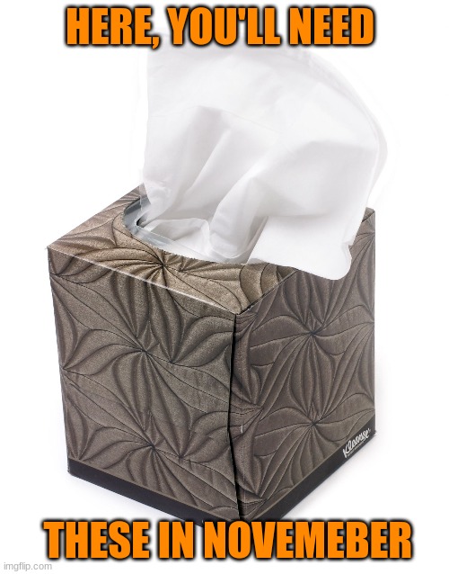 Tissue | HERE, YOU'LL NEED THESE IN NOVEMEBER | image tagged in tissue | made w/ Imgflip meme maker