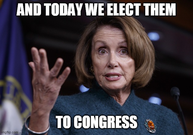 Good old Nancy Pelosi | AND TODAY WE ELECT THEM TO CONGRESS | image tagged in good old nancy pelosi | made w/ Imgflip meme maker