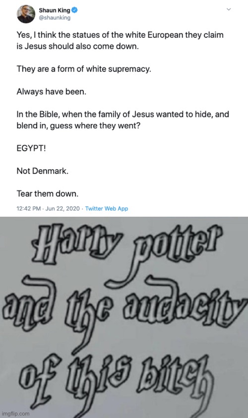 Harry Potter does not approve fuggin | image tagged in harry potter and the audacity of this bitch,politics,jesus,shawn king,what a piece of shit,america | made w/ Imgflip meme maker