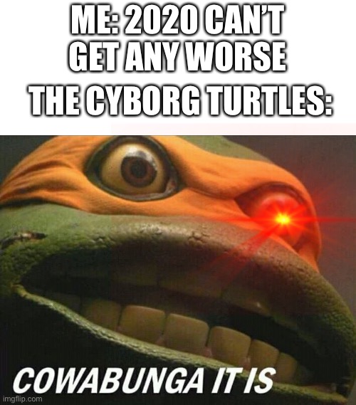 Cowabunga it is | ME: 2020 CAN’T GET ANY WORSE; THE CYBORG TURTLES: | image tagged in cowabunga it is | made w/ Imgflip meme maker