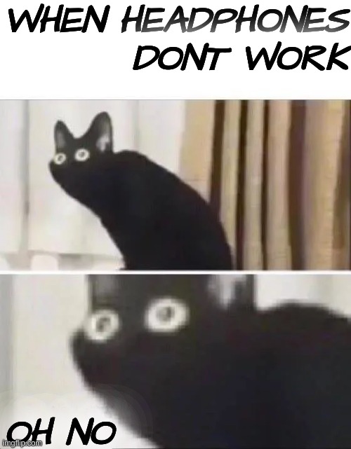 Oh No Black Cat | WHEN HEADPHONES DONT WORK; OH NO | image tagged in oh no black cat | made w/ Imgflip meme maker