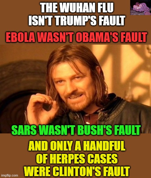 You can't blame Trump for everything | THE WUHAN FLU ISN'T TRUMP'S FAULT; EBOLA WASN'T OBAMA'S FAULT; SARS WASN'T BUSH'S FAULT; AND ONLY A HANDFUL OF HERPES CASES WERE CLINTON'S FAULT | image tagged in memes,one does not simply | made w/ Imgflip meme maker