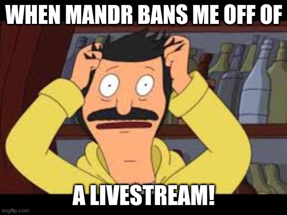 AHH | WHEN MANDR BANS ME OFF OF; A LIVESTREAM! | image tagged in ahh | made w/ Imgflip meme maker