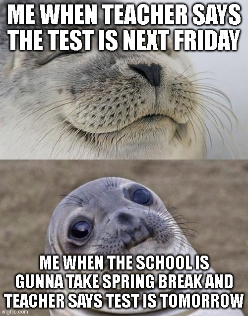 Short Satisfaction VS Truth | ME WHEN TEACHER SAYS THE TEST IS NEXT FRIDAY; ME WHEN THE SCHOOL IS GUNNA TAKE SPRING BREAK AND TEACHER SAYS TEST IS TOMORROW | image tagged in memes,short satisfaction vs truth | made w/ Imgflip meme maker