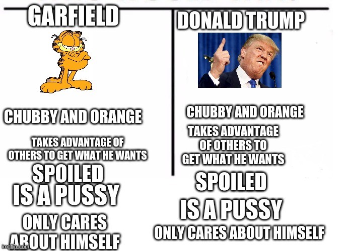 See the resemblance? | DONALD TRUMP; GARFIELD; CHUBBY AND ORANGE; CHUBBY AND ORANGE; TAKES ADVANTAGE OF OTHERS TO GET WHAT HE WANTS; TAKES ADVANTAGE OF OTHERS TO GET WHAT HE WANTS; SPOILED; SPOILED; IS A PUSSY; IS A PUSSY; ONLY CARES ABOUT HIMSELF; ONLY CARES ABOUT HIMSELF | image tagged in comparison table,garfield,donald trump | made w/ Imgflip meme maker