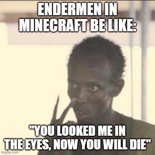 Look At Me | ENDERMEN IN MINECRAFT BE LIKE:; "YOU LOOKED ME IN THE EYES, NOW YOU WILL DIE" | image tagged in memes,look at me | made w/ Imgflip meme maker