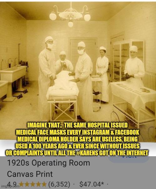 Masktards | IMAGINE THAT..  THE SAME HOSPITAL ISSUED MEDICAL FACE MASKS EVERY INSTAGRAM & FACEBOOK MEDICAL DIPLOMA HOLDER SAYS ARE USELESS, BEING USED A 100 YEARS AGO & EVER SINCE WITHOUT ISSUES OR COMPLAINTS UNTIL ALL THE #KARENS GOT ON THE INTERNET | image tagged in masktards | made w/ Imgflip meme maker