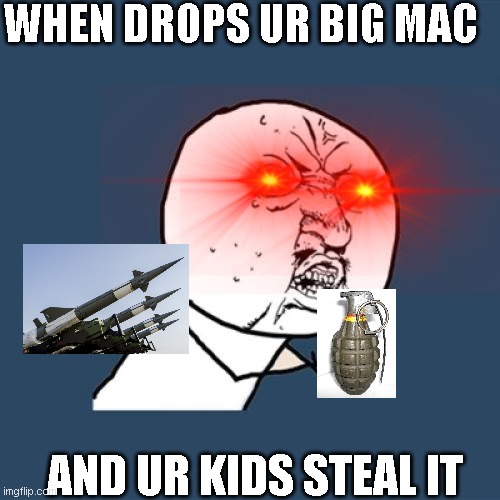 Y U No | WHEN DROPS UR BIG MAC; AND UR KIDS STEAL IT | image tagged in memes,y u no | made w/ Imgflip meme maker