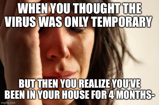 First World Problems | WHEN YOU THOUGHT THE VIRUS WAS ONLY TEMPORARY; BUT THEN YOU REALIZE YOU’VE BEEN IN YOUR HOUSE FOR 4 MONTHS- | image tagged in memes,first world problems | made w/ Imgflip meme maker