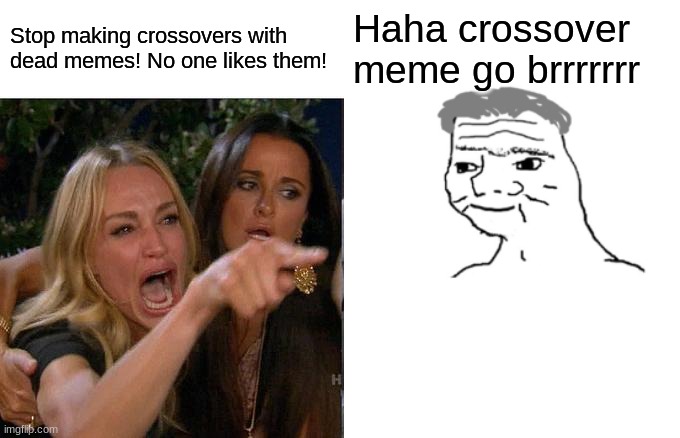 who else likes crossovers? | Stop making crossovers with dead memes! No one likes them! Haha crossover meme go brrrrrrr | image tagged in memes,woman yelling at cat,nooo haha go brrr | made w/ Imgflip meme maker