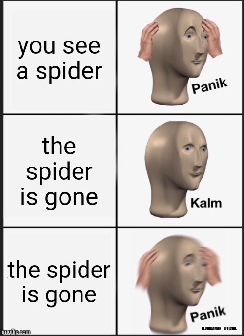 use fire for spiders | you see a spider; the spider is gone; the spider is gone; FLORIDAMAN_OFFICIAL | image tagged in memes,panik kalm panik | made w/ Imgflip meme maker