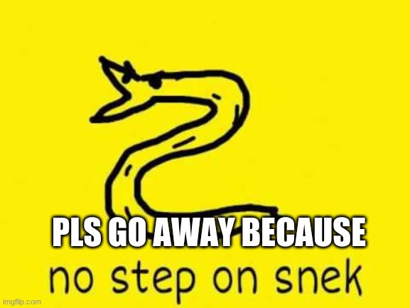 No step on snek | PLS GO AWAY BECAUSE | image tagged in no step on snek | made w/ Imgflip meme maker