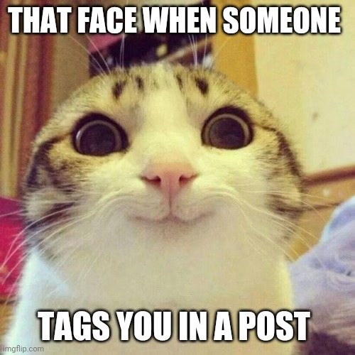 Smiling Cat | THAT FACE WHEN SOMEONE; TAGS YOU IN A POST | image tagged in memes,smiling cat | made w/ Imgflip meme maker