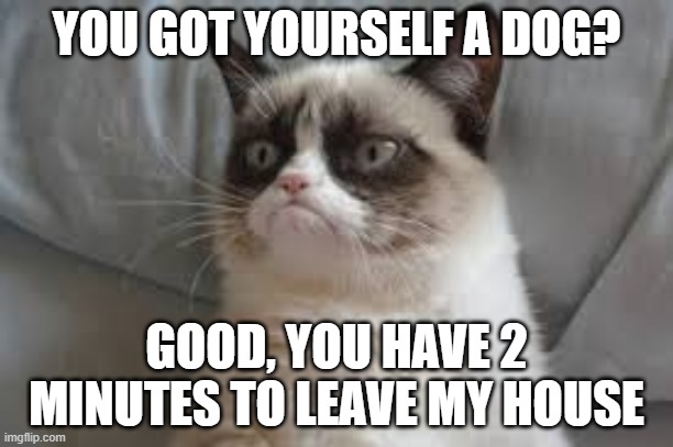 Grumpy cat | YOU GOT YOURSELF A DOG? GOOD, YOU HAVE 2 MINUTES TO LEAVE MY HOUSE | image tagged in grumpy cat | made w/ Imgflip meme maker