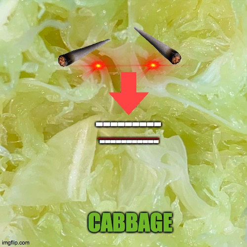 Cabbage | ________; ---------; -----------; CABBAGE | image tagged in cabbage or a lime | made w/ Imgflip meme maker