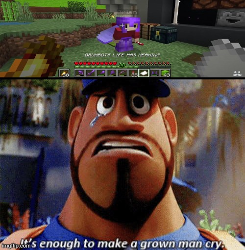 Me like grumbot | image tagged in it's enough to make a grown man cry,hermitcraft | made w/ Imgflip meme maker