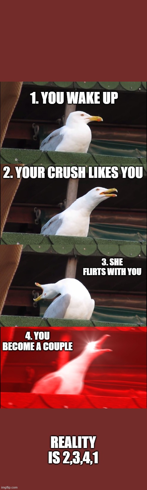 Inhaling Seagull | 1. YOU WAKE UP; 2. YOUR CRUSH LIKES YOU; 3. SHE FLIRTS WITH YOU; 4. YOU BECOME A COUPLE; REALITY IS 2,3,4,1 | image tagged in memes,inhaling seagull | made w/ Imgflip meme maker