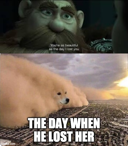 should've chosen different words there buddy. | THE DAY WHEN HE LOST HER | image tagged in doge cloud,you're as beautiful as the day i lost you | made w/ Imgflip meme maker