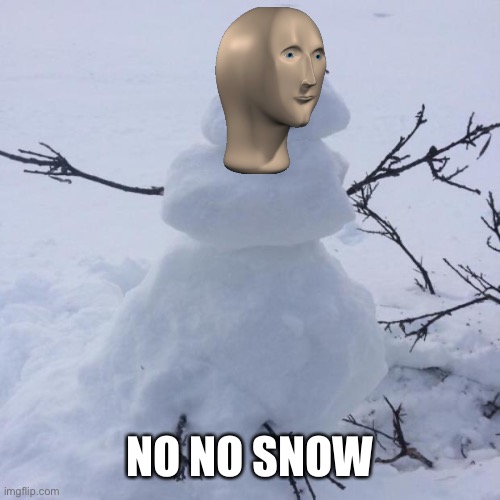 Snowman | NO NO SNOW | image tagged in snowman | made w/ Imgflip meme maker