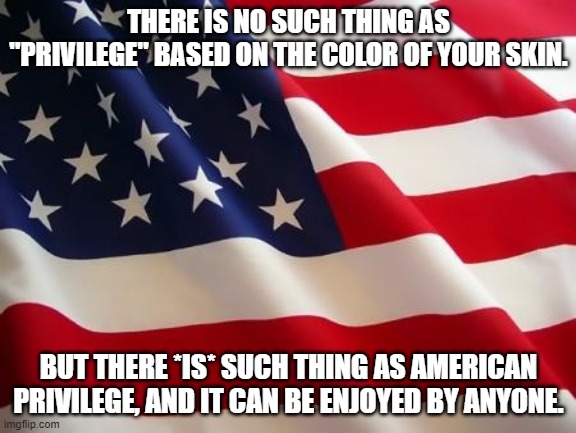 White Privilege Doesn't Exist. Black Privilege Doesn't Exist. | THERE IS NO SUCH THING AS "PRIVILEGE" BASED ON THE COLOR OF YOUR SKIN. BUT THERE *IS* SUCH THING AS AMERICAN PRIVILEGE, AND IT CAN BE ENJOYED BY ANYONE. | image tagged in american flag,american privilege,liberty for all | made w/ Imgflip meme maker