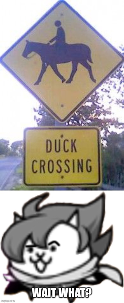 Not sure if that a duck. But pretty sure it cross the road | image tagged in c o n f u s e d,memes,funny,you had one job,street signs,wrong | made w/ Imgflip meme maker