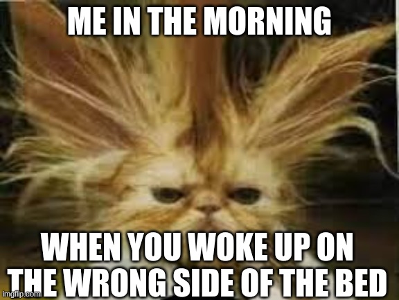 Me in the morning | ME IN THE MORNING; WHEN YOU WOKE UP ON THE WRONG SIDE OF THE BED | image tagged in me in the morning | made w/ Imgflip meme maker