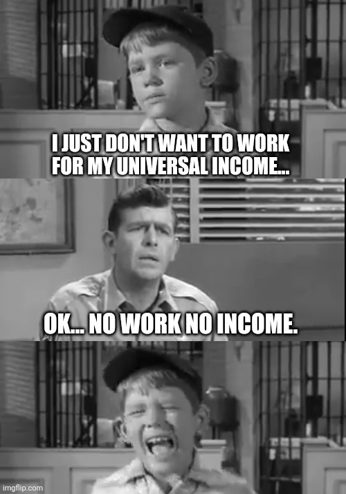 Income | I JUST DON'T WANT TO WORK FOR MY UNIVERSAL INCOME... OK... NO WORK NO INCOME. | image tagged in funny memes | made w/ Imgflip meme maker