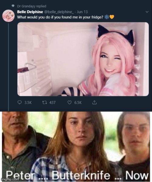 image tagged in fridge,belle delphine,begone thot,divergent,butterknife,what are memes | made w/ Imgflip meme maker