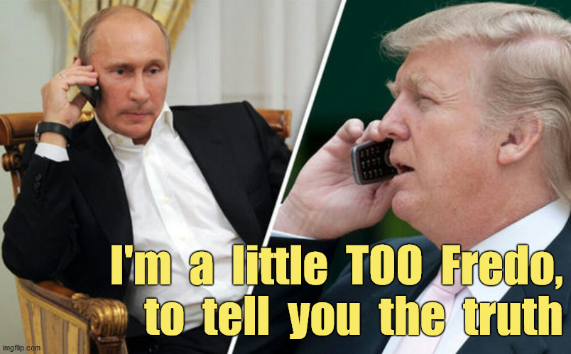 I can handle things! I'm smart! Not like everybody says... | I'm  a  little  TOO  Fredo,
to  tell  you  the  truth | image tagged in putin/trump phone call,godfather,fredo,afghanistan,bounties,troops | made w/ Imgflip meme maker
