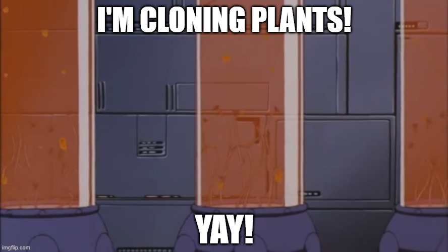I'm experimenting with cloning plants | I'M CLONING PLANTS! YAY! | image tagged in clones | made w/ Imgflip meme maker