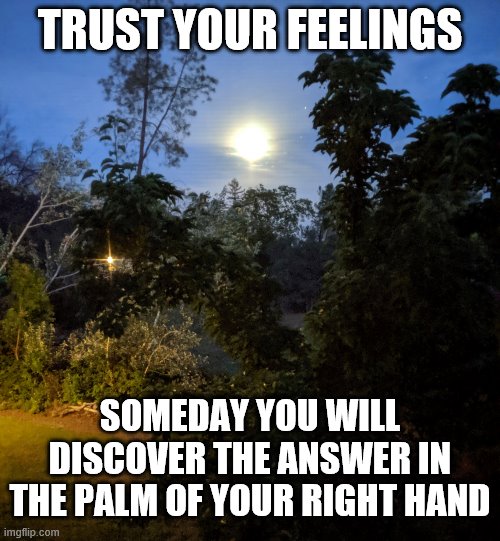 night sky | TRUST YOUR FEELINGS; SOMEDAY YOU WILL DISCOVER THE ANSWER IN THE PALM OF YOUR RIGHT HAND | image tagged in night sky | made w/ Imgflip meme maker
