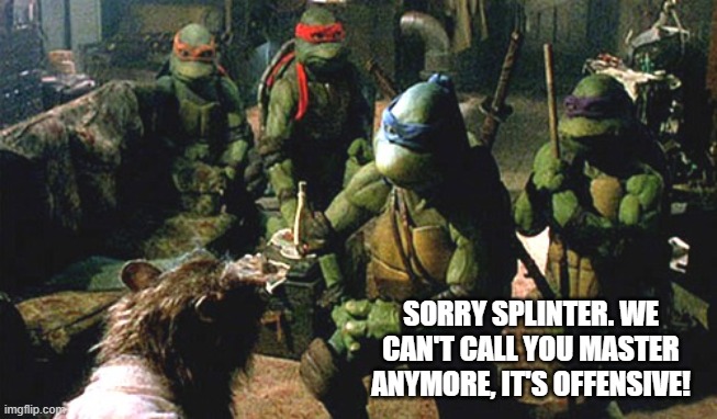 Is this really a stretch? | SORRY SPLINTER. WE CAN'T CALL YOU MASTER ANYMORE, IT'S OFFENSIVE! | image tagged in tmnt,offensive,offended,splinter,politically correct | made w/ Imgflip meme maker