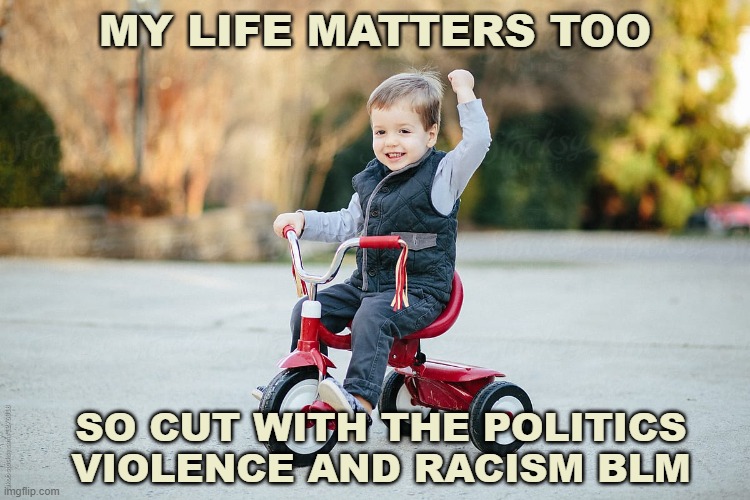 BLM |  MY LIFE MATTERS TOO; SO CUT WITH THE POLITICS VIOLENCE AND RACISM BLM | image tagged in wild,blm | made w/ Imgflip meme maker