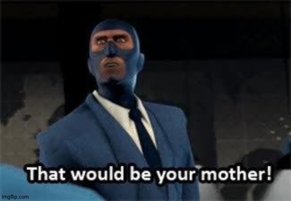 That would be your mother | image tagged in that would be your mother | made w/ Imgflip meme maker