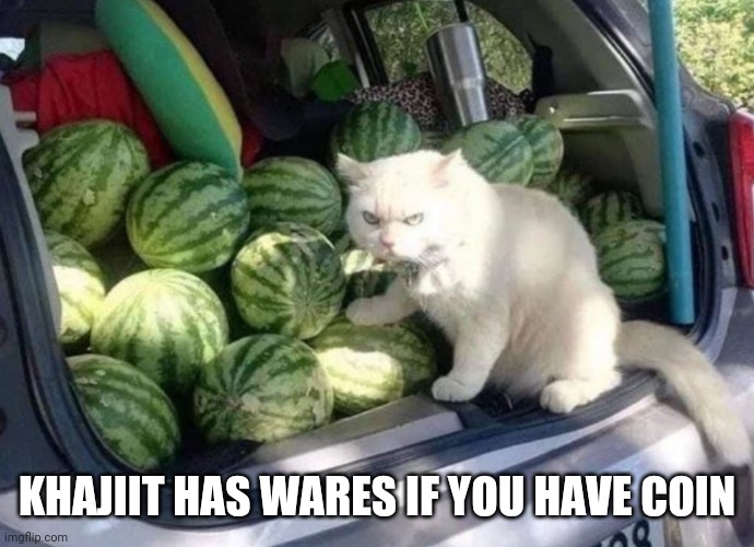 Khajiit has wares | KHAJIIT HAS WARES IF YOU HAVE COIN | image tagged in video games,cats,skyrim,elder scrolls,funny | made w/ Imgflip meme maker