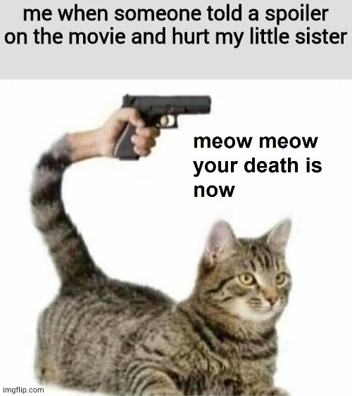 meow meow your death is now | me when someone told a spoiler on the movie and hurt my little sister | image tagged in meow meow your death is now,memes,true story | made w/ Imgflip meme maker