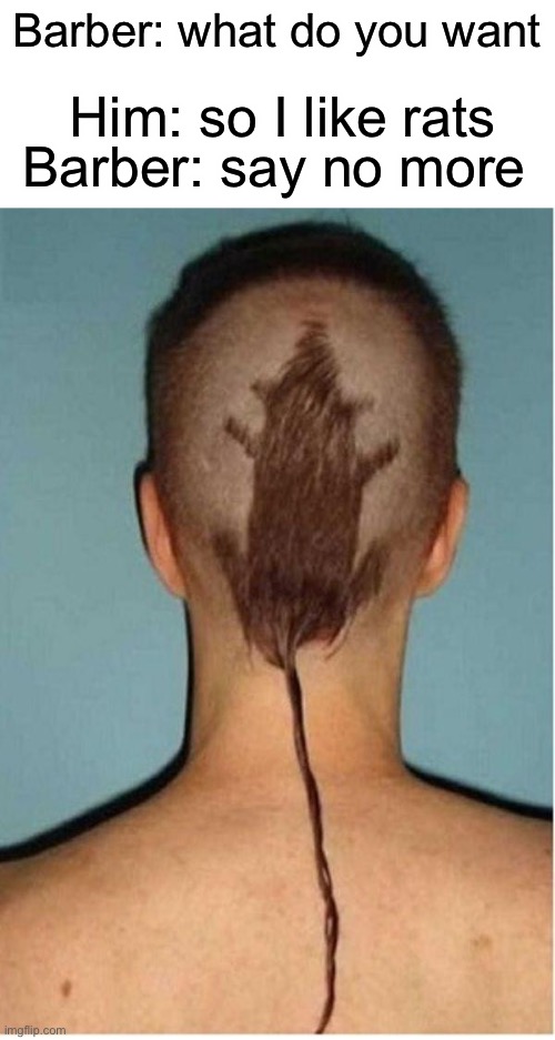 Facepalm | Him: so I like rats; Barber: what do you want; Barber: say no more | made w/ Imgflip meme maker