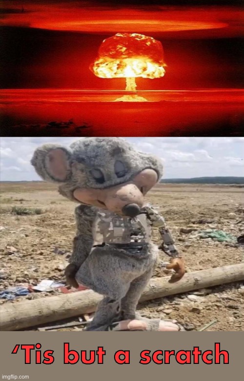 ‘Tis but a scratch | image tagged in atomic bomb,chuck e cheese,memes,funny | made w/ Imgflip meme maker